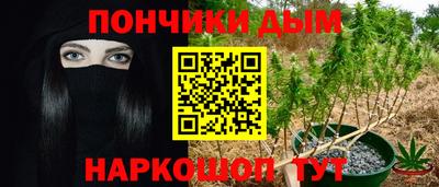 ГАЛЛЮЦИНОГЕННЫЕ ГРИБЫ Кингисепп